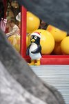 IMG_8673