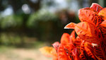 IMG_1853a