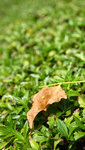 IMG_1859a