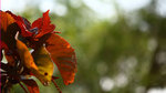 IMG_1862a