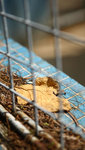 IMG_1891a