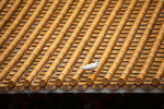 IMG_8240