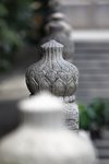 IMG_8279