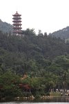 IMG_8331