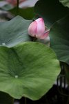 IMG_8347