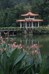 IMG_8355