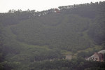 IMG_8374