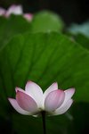 IMG_8401
