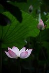 IMG_8402