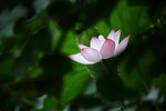 IMG_8407