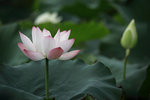 IMG_8428