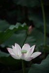 IMG_8431