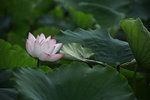 IMG_8432