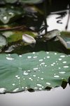 IMG_8433