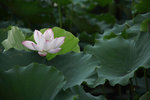 IMG_8435