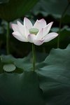 IMG_8437