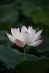 IMG_8440