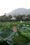 IMG_8441