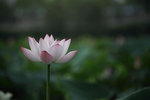 IMG_8443