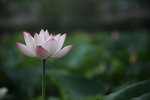 IMG_8444