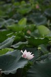 IMG_8448