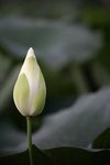 IMG_8450