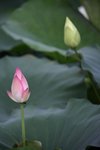 IMG_8456