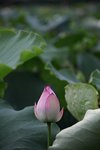 IMG_8458