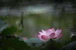 IMG_8818