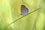 IMG_3352