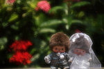 IMG_4408a