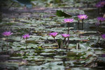 IMG_5945a