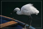 IMG_1434