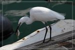 IMG_1463