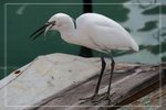 IMG_1474