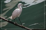 IMG_1493