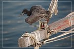 IMG_1565