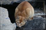 IMG_1570