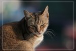 IMG_1572