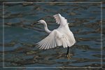 IMG_1578