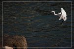 IMG_1579