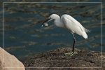 IMG_1583