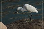IMG_1584