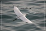 IMG_1605
