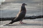 IMG_1632