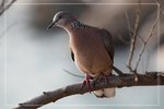 IMG_1637