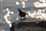 IMG_1639