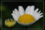IMG_0672