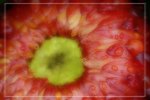 IMG_0675