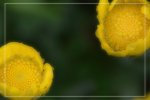 IMG_0677